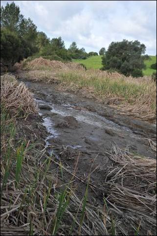 Progetto: Bonifica Rio San Giorgio